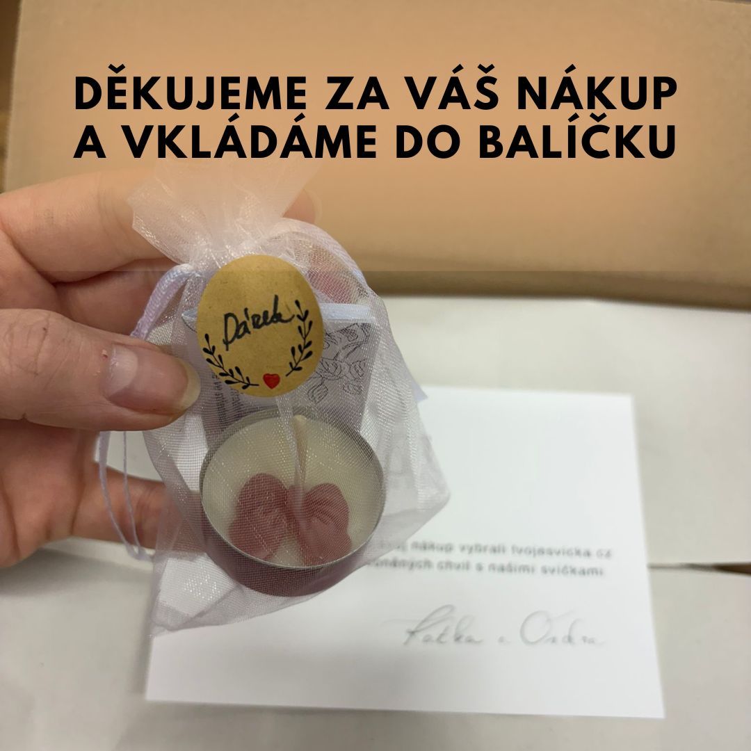 TVOJE SVICKA (Leták (A4) (1080 x 1080 px) (7)